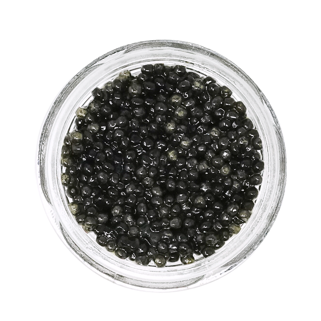Baeri Caviar